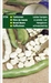 TUINBONEN Leidse hangers 250 gram