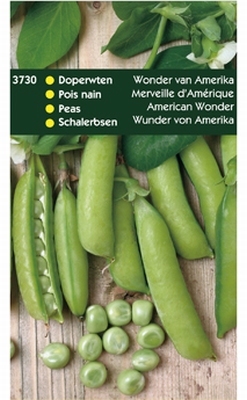 DOPERWTEN Wonder van Amerika 250 gram