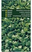 SPINAZIE breedblad zomer, scherp zaad 250 gram