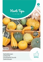 Cucurbita pepo, Sierkalebas klein mixed (pompoenachtige)