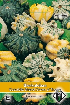 Cucurbita pepo Shenot Crown of Thorns (pompoenachtige)