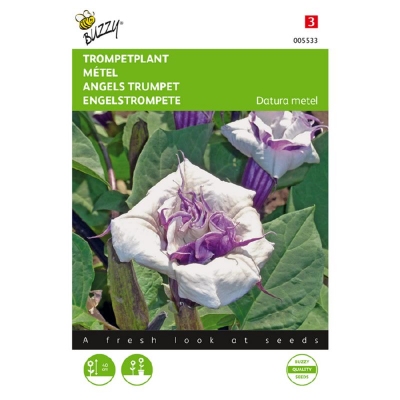 Dathura metel, Doornappel (trompetplant)