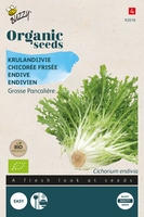 Bio Organic Krulandijvie Pancalière (BIO)