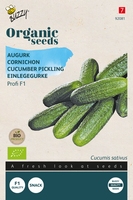 Bio Organic Augurk Profi F1 (BIO)