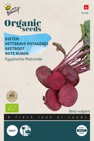 Bio Organic Bieten Egyptische Platronde (BIO)