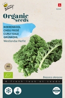 Bio Organic Boerenkool Westlandse (BIO)