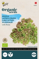 Bio Organic Krulsla Lollo rossa (BIO)