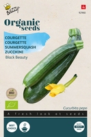 Bio Organic Courgette Black Beauty (BIO)