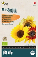Bio Organic Helianthus dwarf Spray mixed (BIO)