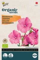 Bio Organic Lavatera trimestris rose/rood (BIO)