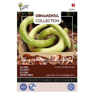 Pompoen Gourd Italian Edible/Cucuzi