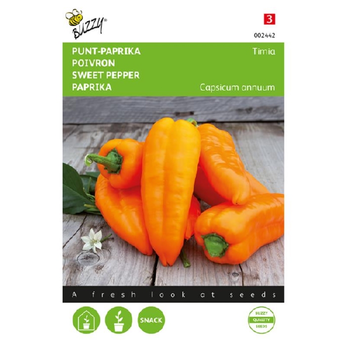 Punt-Paprika Timia, Oranje  - NIEUW