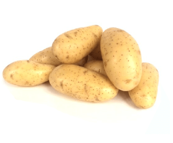 Bio aardappel     Annabelle, zeer vroeg, kruimig 2 kg