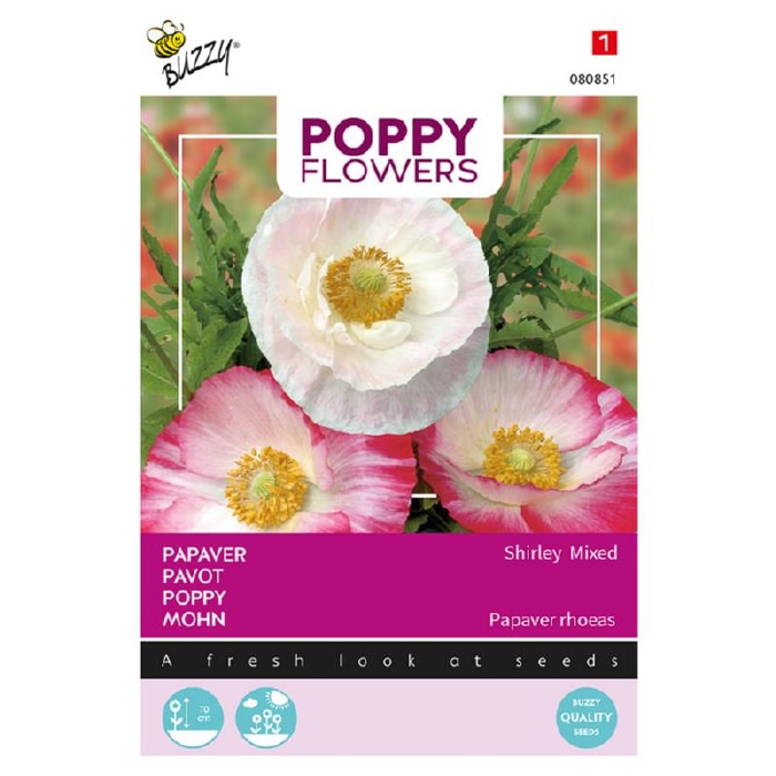 Papaver rhoeas  Shirley Mixed gemengd