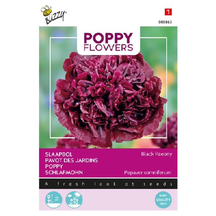 Papaver somniferum Black Paeony   (klaproos pioenbloemig)