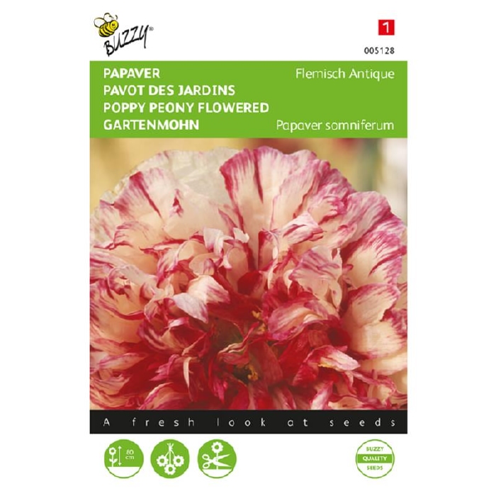 Papaver somniferum Flemish Antique - slaapbol pioenbloemig
