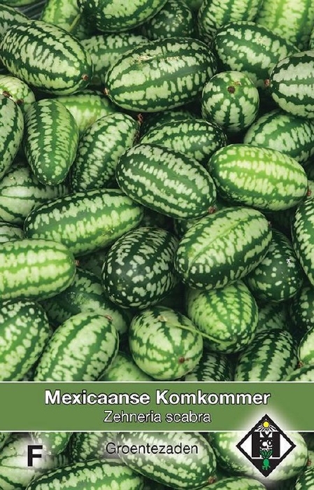 Komkommer   Mexicaanse eetbaar mini-komkommer (pompoenachtige) Zenheria scabra