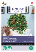 Sierpeper,  Ornamental Pepper -  Dwarf mixed - NIEUW