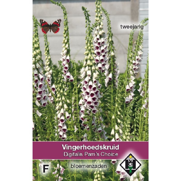 Digitalis purpurea  Pam's Choice  Vingerhoedskruid  NIEUW