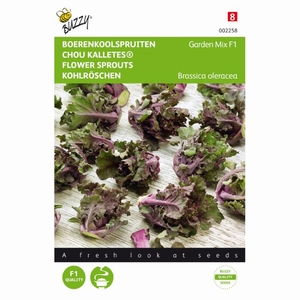 Boerenspruitkool Garden Mix F1 ( Spruitkool Kalettes )- NIEUW