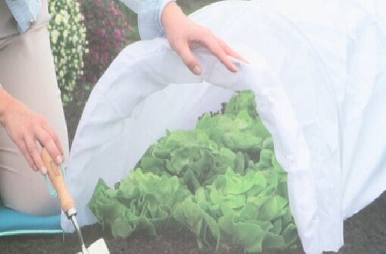 Vliesdoek 15 x 1,60 mtr  Biologisch wonderdoek 17grams