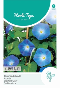 Klimmende Winde, Ipomoea Clark's Blue