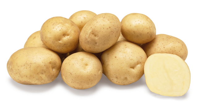 Bio pootaardappel    Twinner vroeg vastkoker 1 kg -  NIEUW -  Leverbaar eind februari 2026