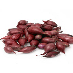 Plantui,  ROOD  Rode ui,   Red Baron  500gr  -  Leverbaar eind februari 2026