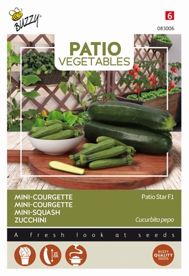 Courgette Patio Star F1    Patio Veggie  -  NIEUW