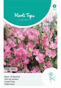 Lathyrus, Reuk- of Siererwt Royal Family Pink Roze