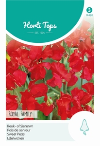 Lathyrus, Reuk- of Siererwt Royal Family Rood