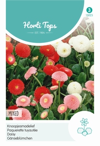 Bellis Perennis Pomponette Gemengd