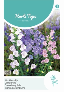 Campanula Medium Enkelbloemig Gemengd