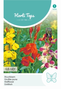 Cheiranthus Cheirii Fair Lady Gemengd