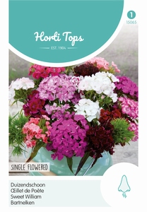 Dianthus Barbatus Enkelbloemig Gemengd