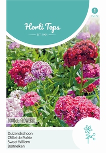 Dianthus barbatus dubbelbloemig gemengd