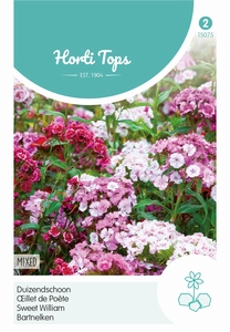 Dianthus barb. nanus compactus Dubbel gemengd