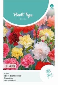 Dianthus Caryophyllus Grenadin Gemengd