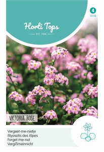 Vergeet me niet, Myosotis a. Victoria Rose, Vergeetmenietjes