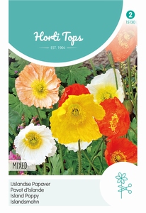 Papaver nudicaule Excelsior Gemengd (IJslandse Papaver)