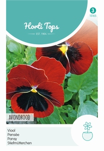 Viola Tric. Max. Avondrood