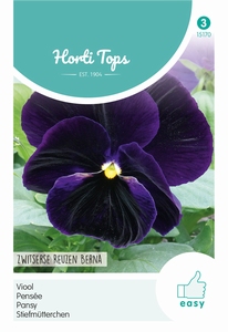 Viola Tric.Max. Zwitserse Reuzen Berna
