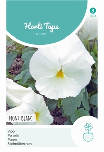 Viola Tric. Max. Mont Blanc