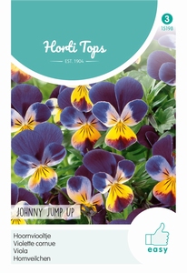 Viola Cornuta Johnny Jump Up (Helen Mount)