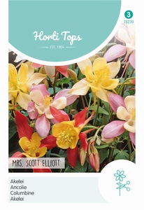 Aquilegia Hybrida Mrs Scott Elliott