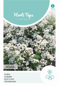 Arabis Alpina Comp. Snowball
