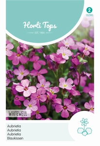Aubrietia Hybrida Grfl.Whitewell Gem