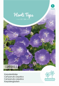 Campanula Carpatica Blauw
