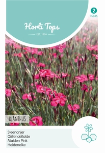 Dianthus Deltoides Erectus Karmijnrose