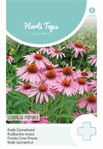 Echinacea (Rudbeckia) Purpurea